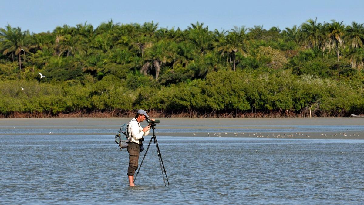 Lars Malta Rasmussen. Bird watching in Guinea Bissau.