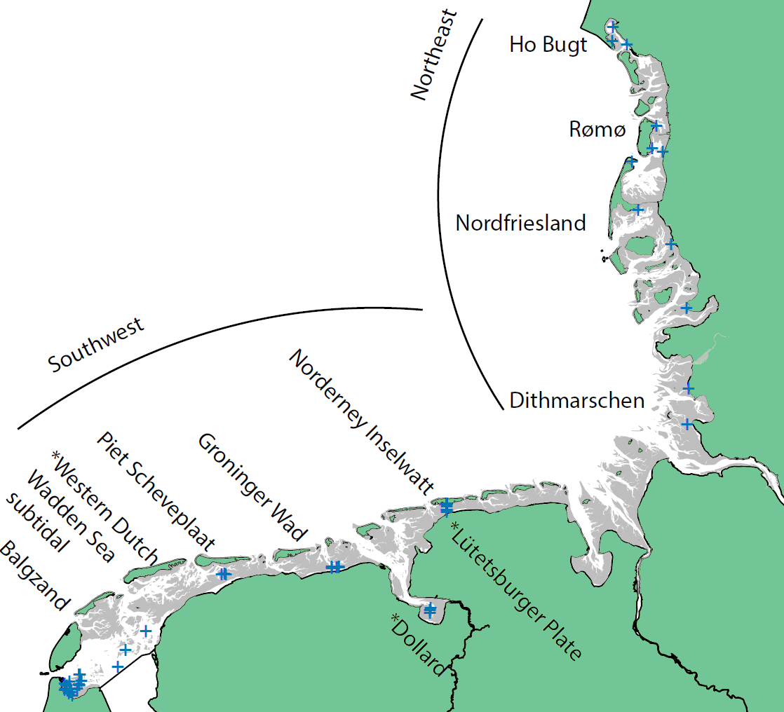  Macrozoobenthos monitoring areas in the Wadden Sea divided into two sub regions Northeast and Southwest