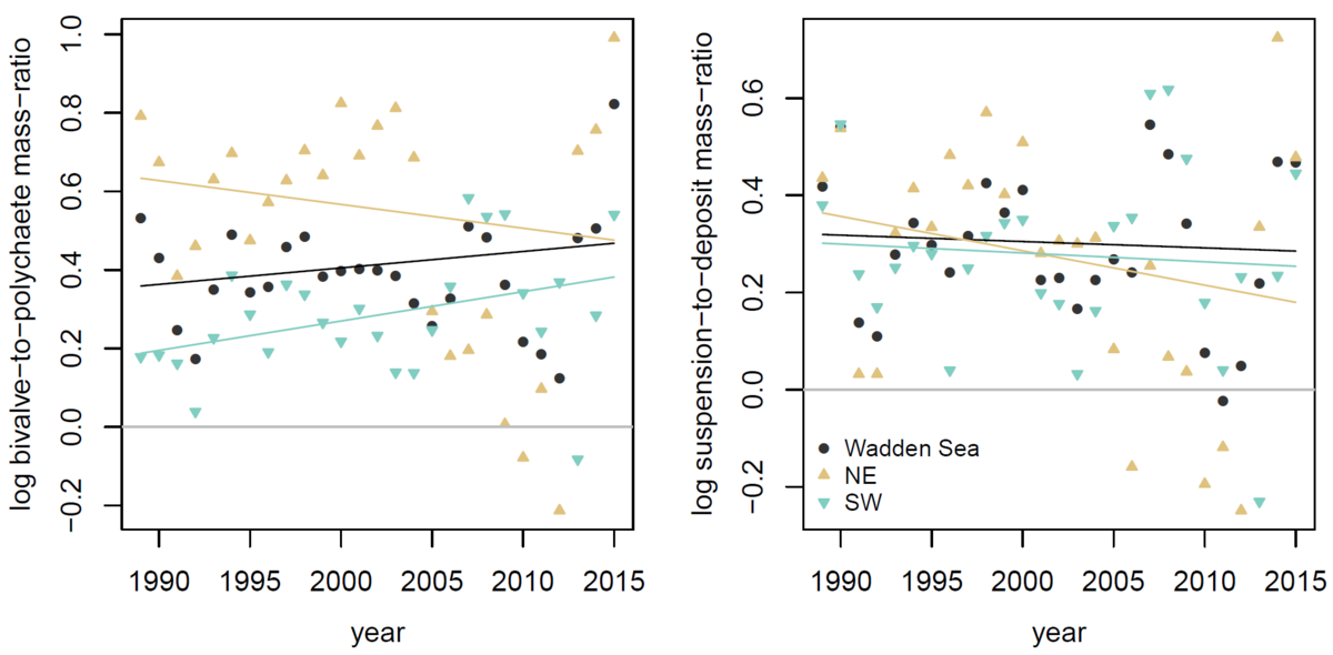  Bivalve-to-polychaete mass-ratio and suspension-to-deposit-feeder mass ratio in the Wadden Sea