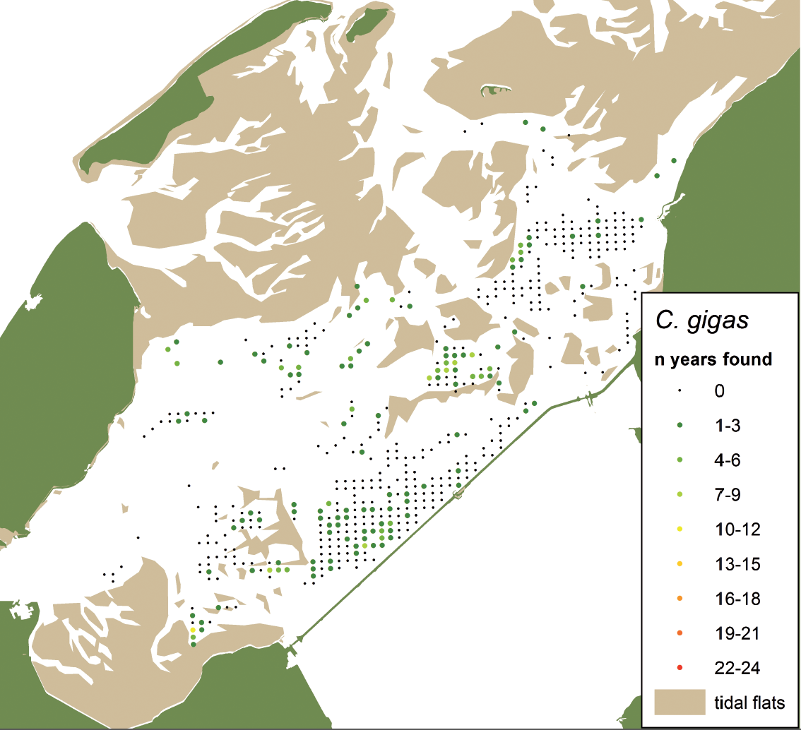  Distribution map of the Pacific oyster Crassostrea gigas in the subtidal western Dutch Wadden Sea