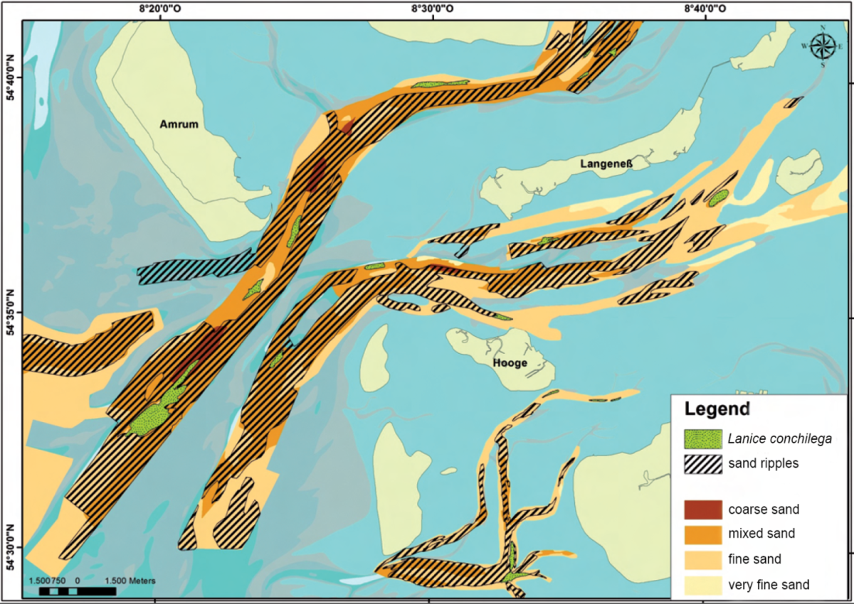  Results from hydroacoustic surveys in the subtidal of the northern German Wadden Sea