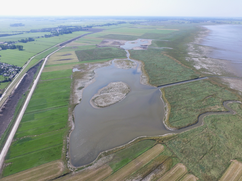  Example of re-designing and rewetting an artificial salt marsh after clay extraction by removing the top soil in the Neuwapeler Außengroden